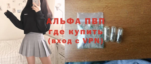 индика Майский