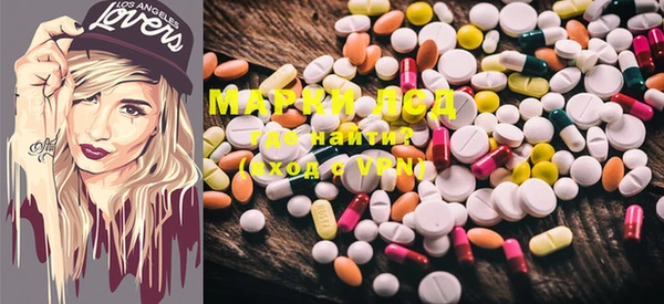 индика Майский