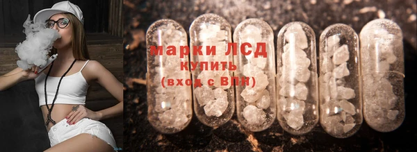 индика Майский