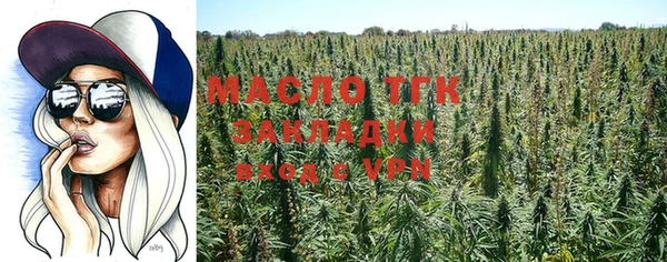 индика Майский