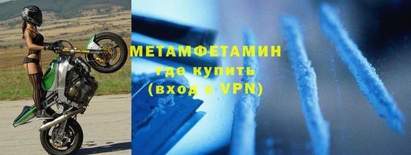 индика Майский