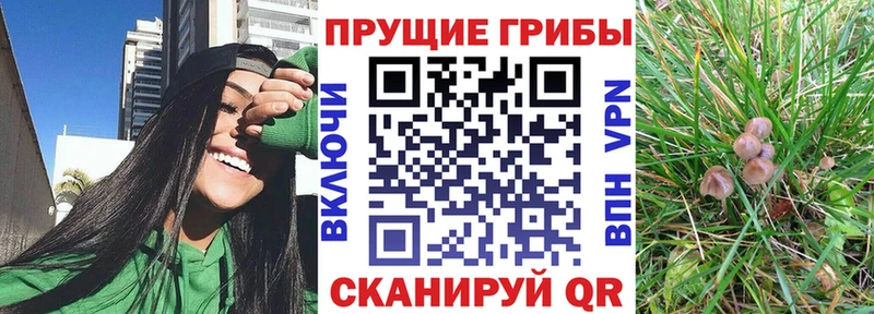 hydra ссылки  Приволжский  Галлюциногенные грибы MAGIC MUSHROOMS 